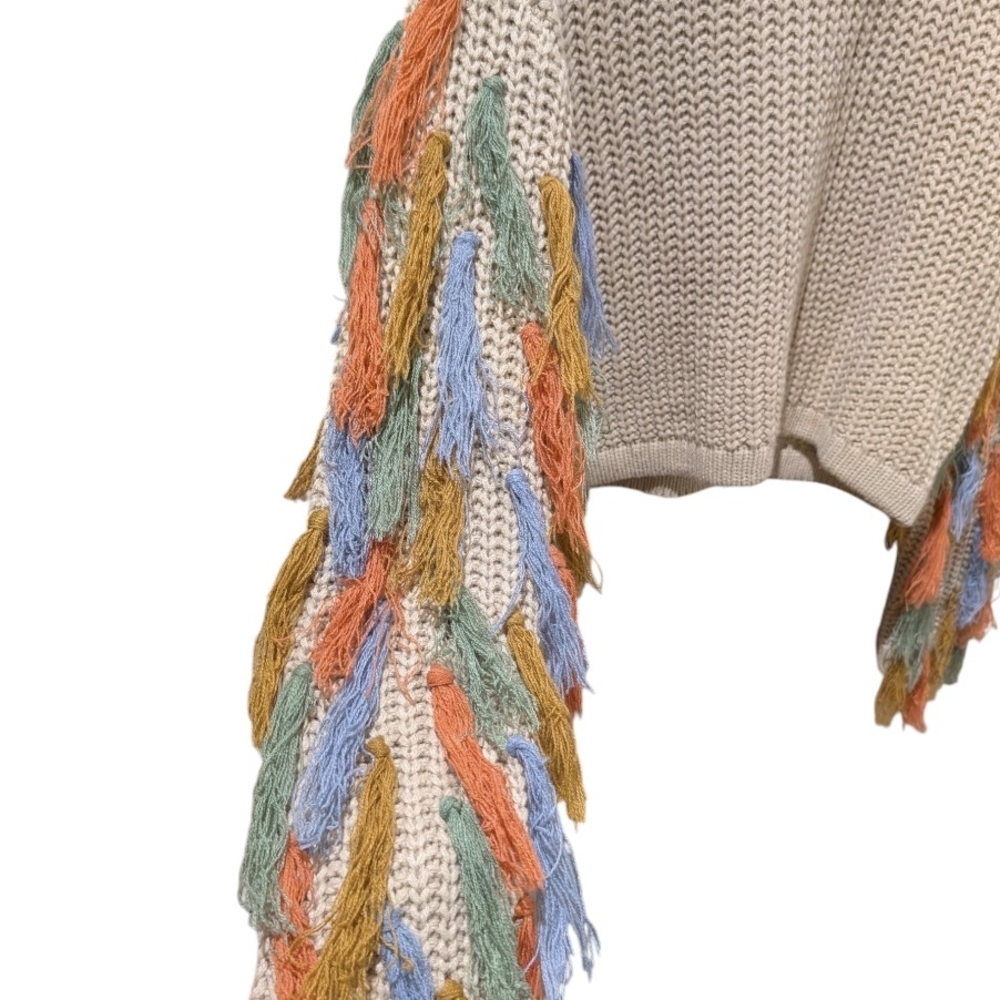 Blue B Collection Tan Knit Sweater With Multi Colored Fringe On Sleeves, Size M. - Picture 3 of 9